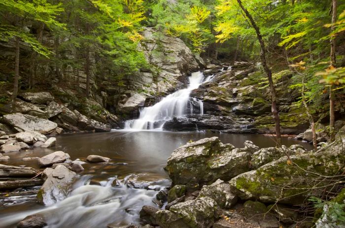 Wahconah Falls in the Berkshire Mountains of western Massachusetts cascading over rocks amidst lush trees