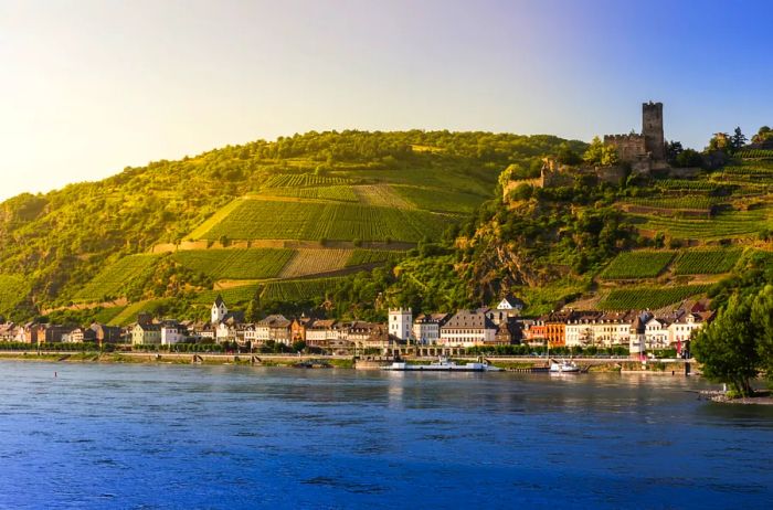 The Upper Middle Rhine Valley is renowned for its breathtaking vineyard vistas and charming villages, but it is also known for its navigational hazards.