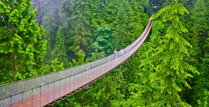 Aerial view of the Capilano Suspension Bridge in Vancouver, Canada