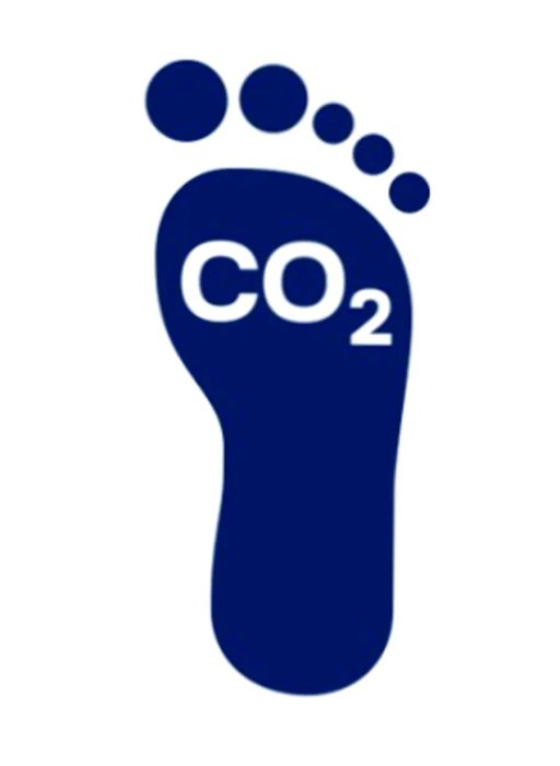 Passengers can now offset their CO2 emissions while flying with Lufthansa.