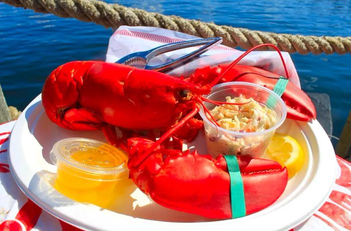 Image courtesy of The Newport Lobster Shack.