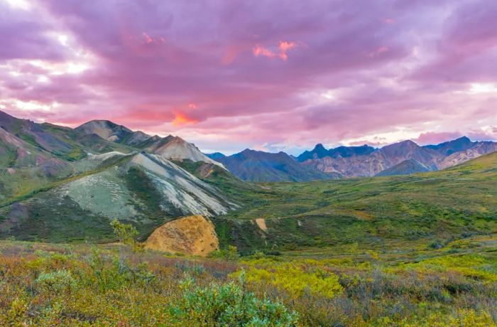 Denali National Park in Alaska