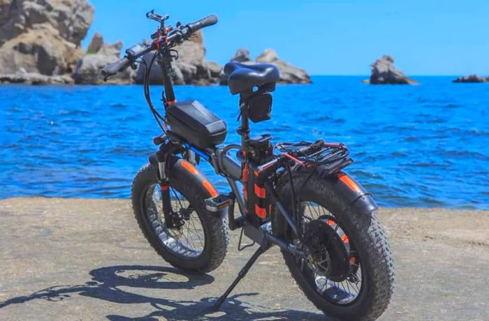 Electric Biking Along the Shore