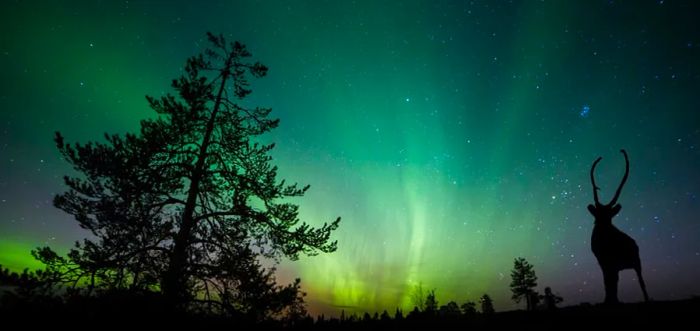 Aurora Borealis over Alaska