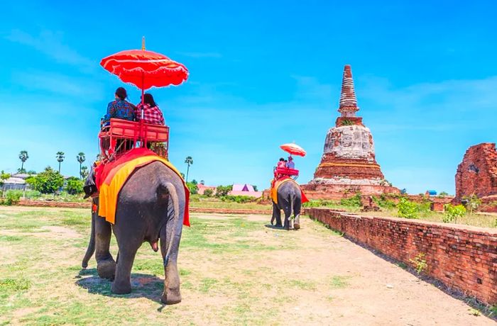 Elephant ride in Ayutthaya, Thailand