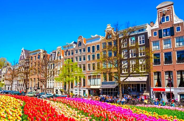 Experience King’s Day in Amsterdam