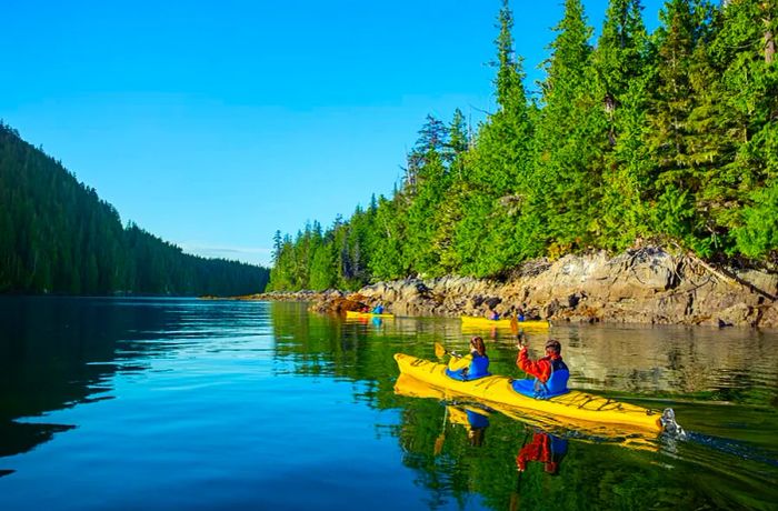 A group of tourists paddling through Alaskan waters