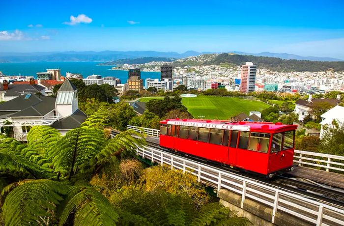 Wellington, New Zealand