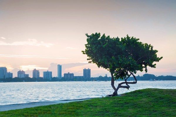 Sarasota, Florida. (Photo by John Coletti/Getty Images)