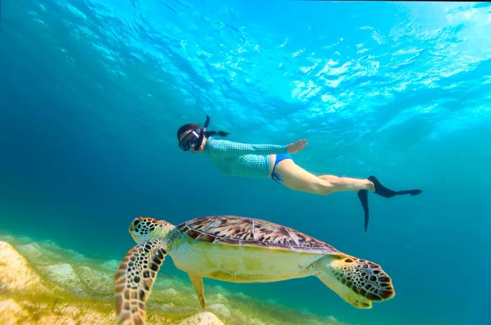 Snorkeling