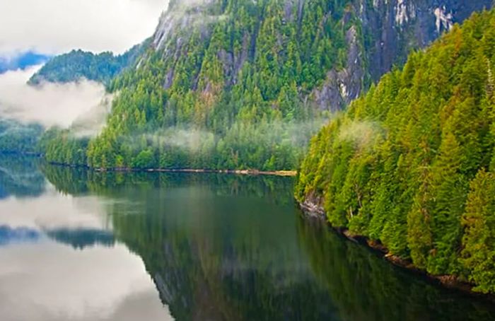 Journey to Misty Fjords National Monument