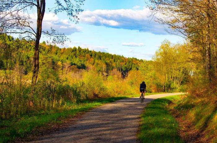 Individual biking along a smooth path flanked by trees