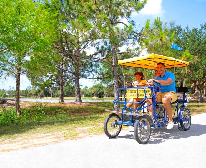 Enjoy a fun ride around Lakes Park on a surrey