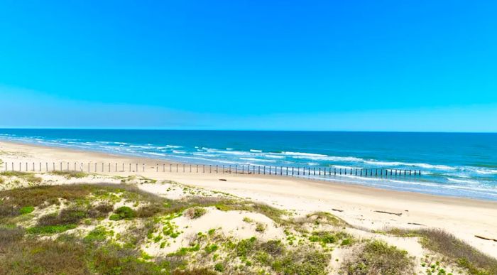 An expansive, unspoiled beach and dunes in Corpus Christi, Texas