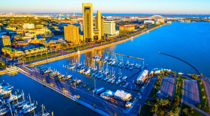 An aerial view of Corpus Christi showcasing tall buildings and a marina from above