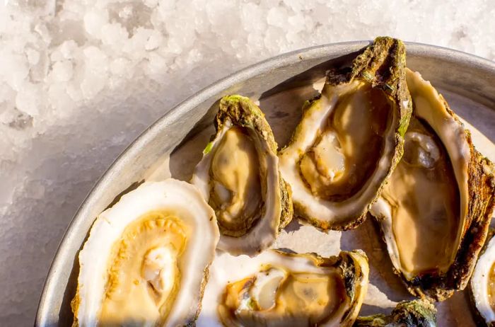 A platter of oysters served in Corpus Christi, Texas