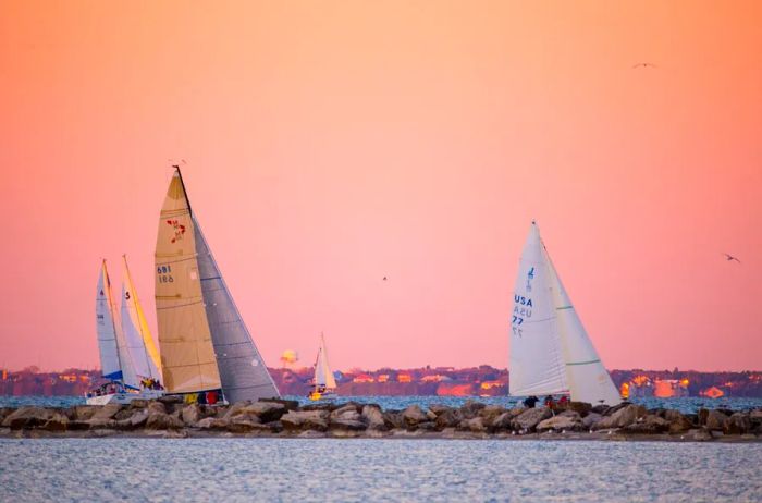 Sailboats gliding on the water at sunset against a pink sky in Corpus Christi, Texas