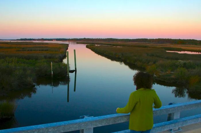 A woman in a light green jacket gazes out over a canal and flat fields at sunset from a bridge.