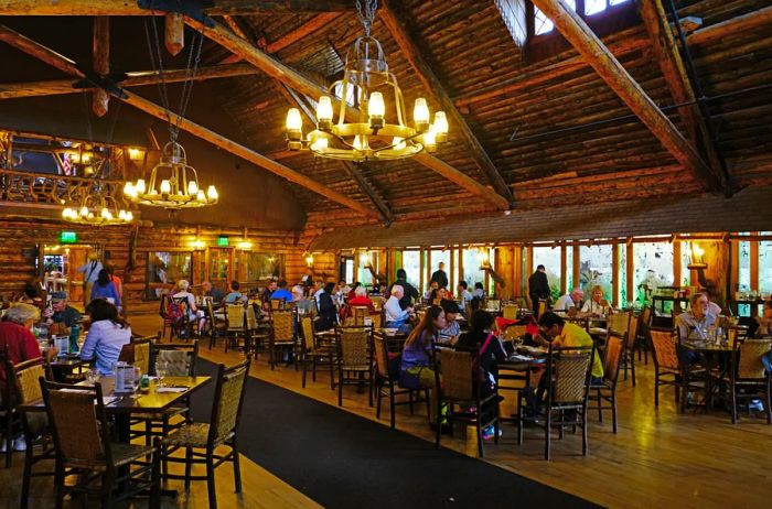 Guests enjoying a meal in the historic Old Faithful Inn, featuring chandeliers and a pitched ceiling crafted from logs