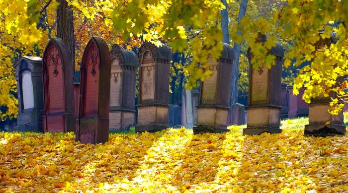 Gravestones in a Jewish cemetery framed by bright yellow autumn leaves in Mainz, Germany