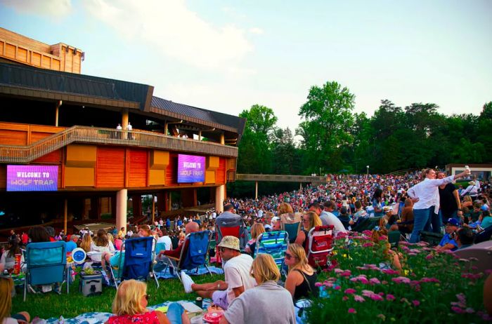 Summer 2024 at the Wolf Trap National Park for the Performing Arts will showcase a lineup that includes everyone from Rick Wakeman to KT Tunstall.