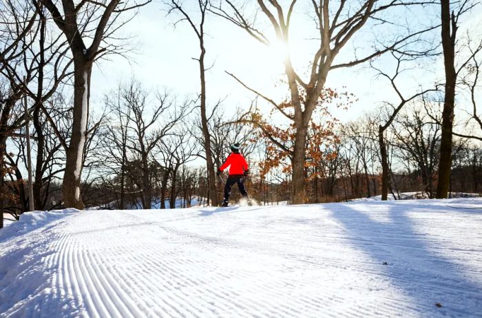 A person enjoys cross-country skiing at Theodore Wirth Park in Minneapolis, Minnesota.