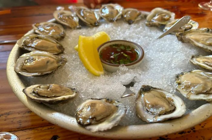 A platter featuring 15 oysters on ice