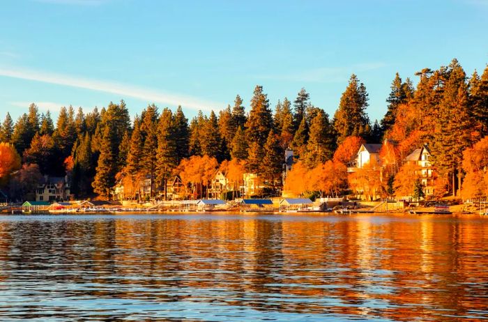 A row of lakeside houses surrounded by a mix of evergreens and trees that turn orange in the fall.