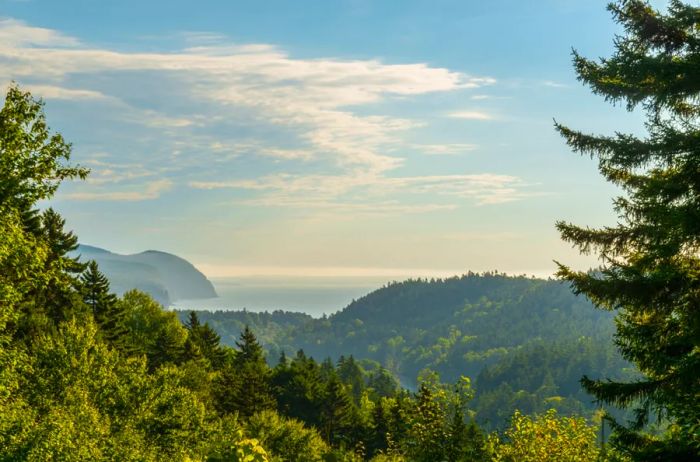 Though tides may ebb and flow, the stunning views of Fundy National Park remain timeless.