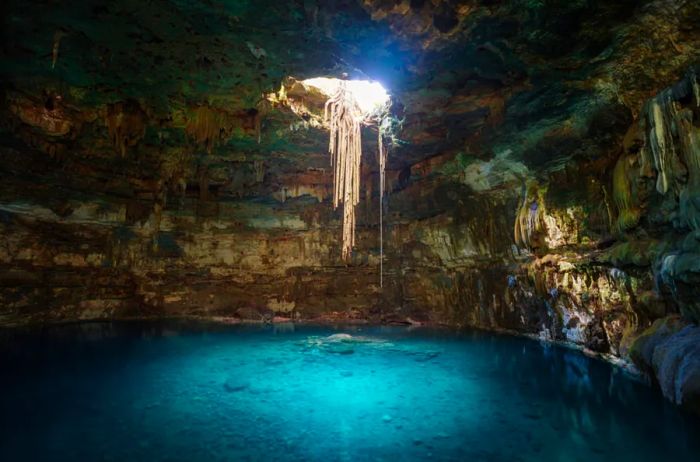 Sunlight streaming into the opening of the Blue Cenote