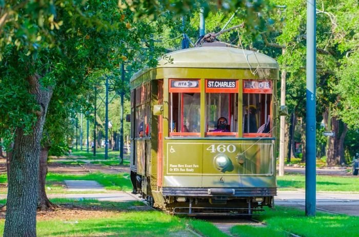 A green St. Charles Line streetcar glides through New Orleans, framed by rows of trees