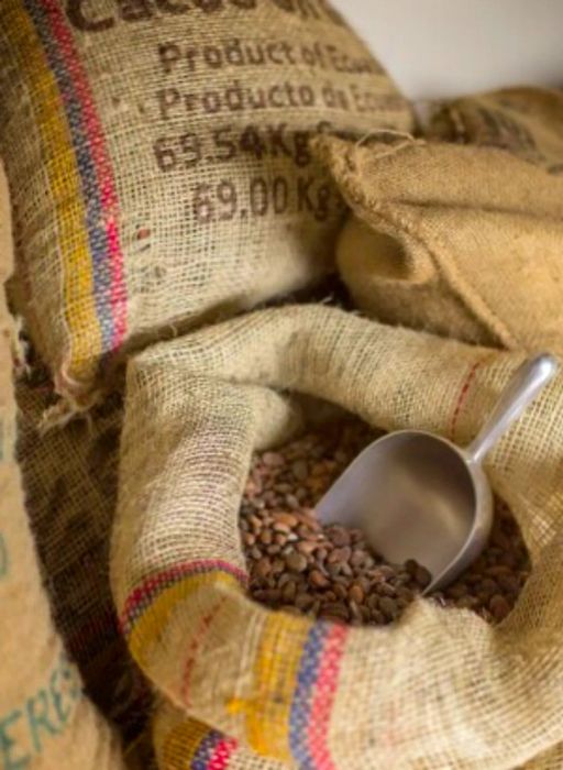 Cacao beans in a burlap sack