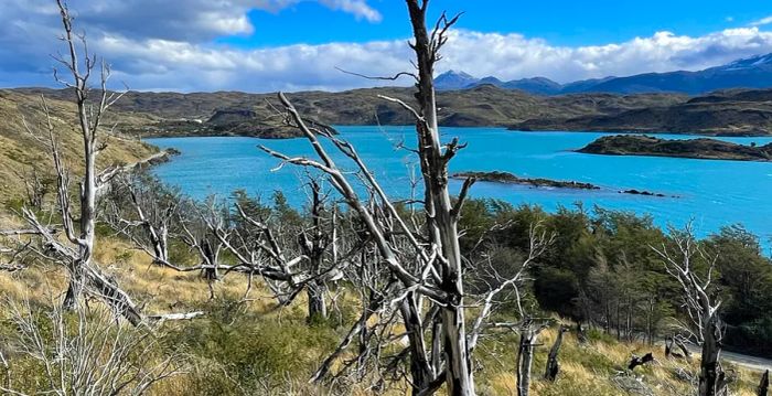 The charred forests around the Grey Camp area and Pehoe Lake serve as a stark reminder of the destructive impact humans can have.