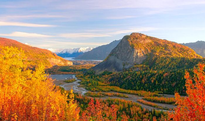 Autumn colors envelop the Matanuska River Valley in Alaska, framed by distant snow-capped mountains.