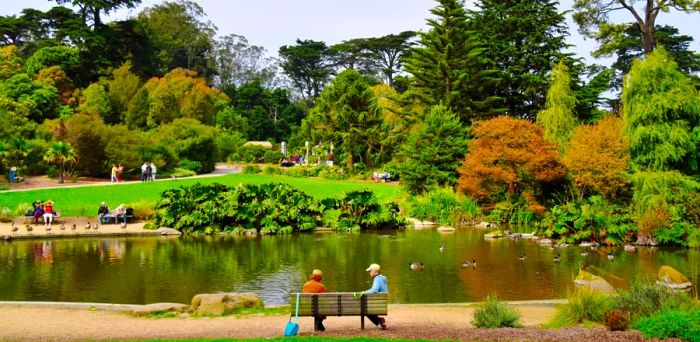 Golden Gate Park