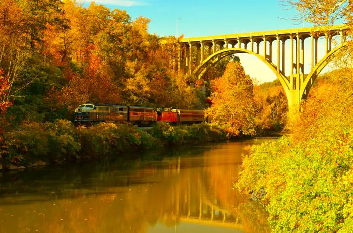 A train passing beneath a bridge and alongside water