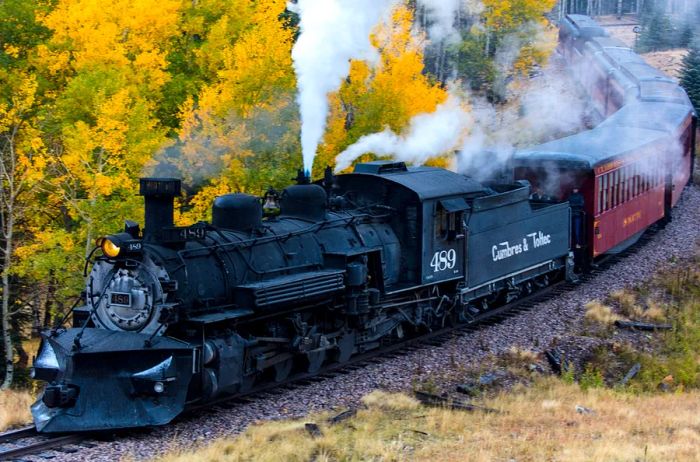 A black steam engine racing past vibrant yellow aspens