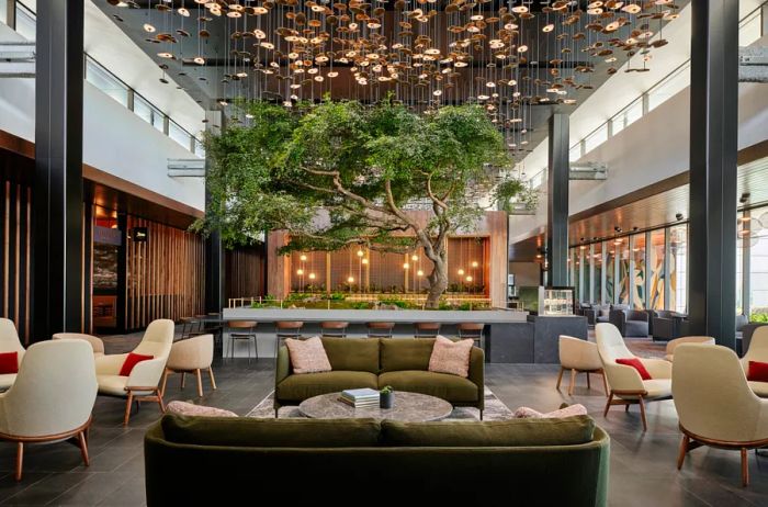 An olive tree stands amidst plush armchairs and couches in the Atlanta Centurion Lounge, highlighted by a soaring ceiling.