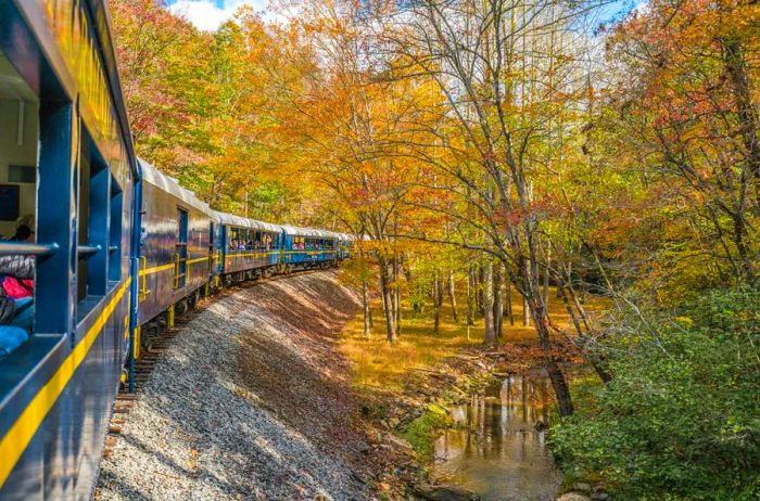 The Blue Ridge Scenic Railway winds through wooded landscapes in Georgia