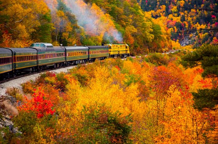 13 Train Rides for the Ultimate Fall Foliage Experience