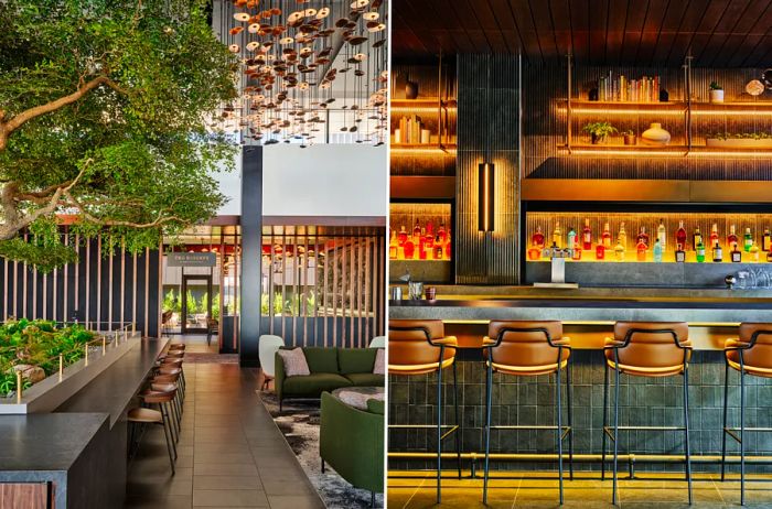 The entrance to the Reserve by American Express, showcasing an olive tree (L); the Centurion network’s first whiskey bar, featuring a row of tall seats in front of a softly lit bar (R).