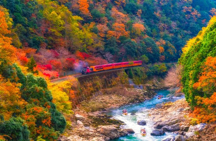 A train runs alongside a rushing stream, framed by trees adorned in vibrant shades of orange, yellow, and green.