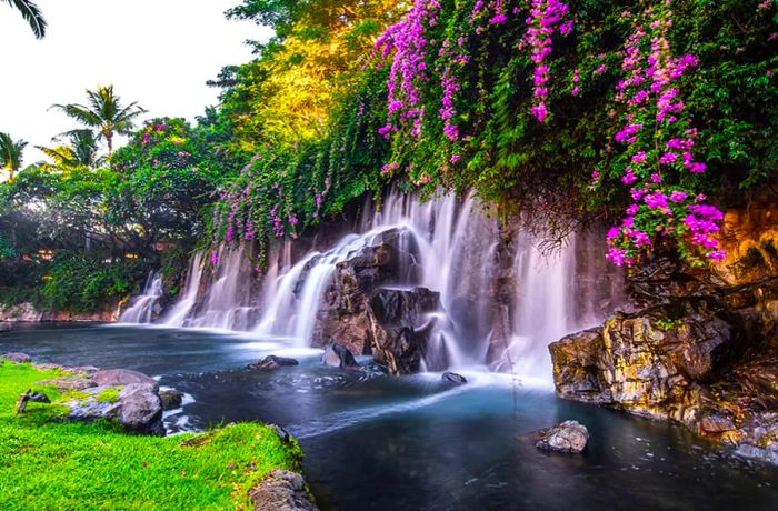 Waterfall in Hawaii