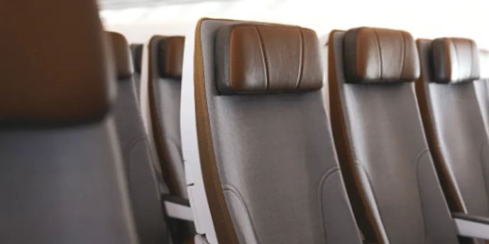 Images of both business class and economy class seating.