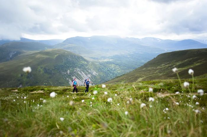 Two hikers exploring lush green mountains