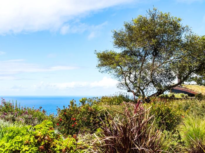 Sierra Mar restaurant at Post Ranch Inn offers stunning views of the Pacific Ocean from its dramatic cliffside location in Big Sur.