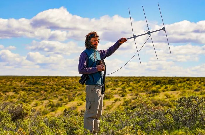 Lucas Beltramino in the field, holding an antenna to conduct an experiment in Patagonia Azul.