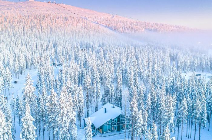 Aerial perspective of a chalet enveloped by snow-laden evergreen trees, with a ski slope visible in the distance and a soft pink glow over the mountains.