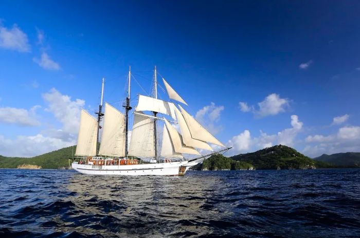 The 26-passenger Vela sailing ship with three masts, operated by Island Windjammers.