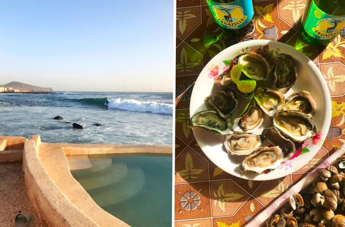 Left images depict ocean waves crashing against the shore, while the right image showcases a plate of fresh oysters.